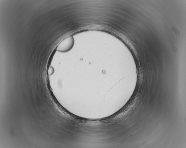 X0000111590845200908271008