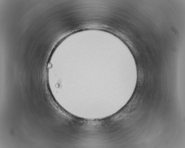X0000111590848200908271008
