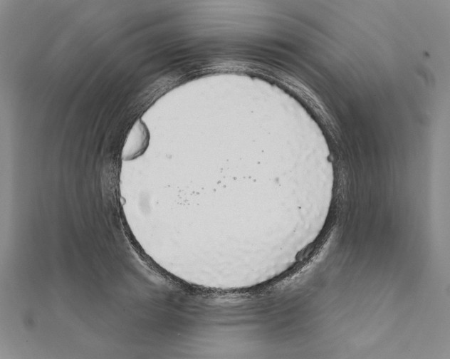 X0000111590849200908271008