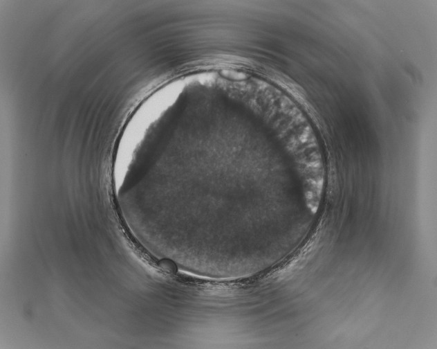 X0000111590850200908271008
