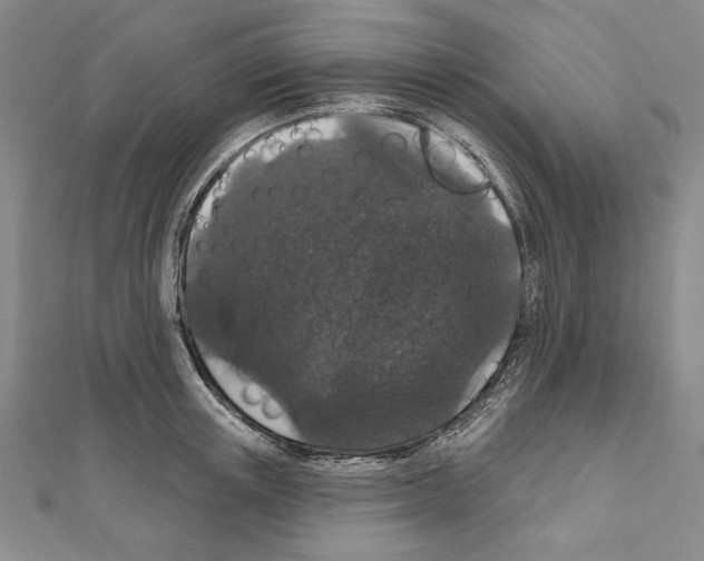 X0000111590851200908271008