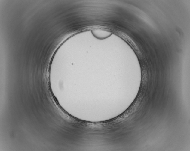 X0000111590852200908271008