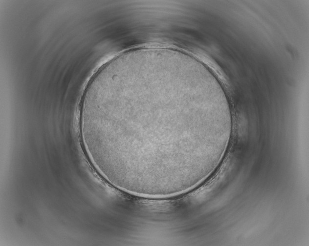 X0000111590856200908271008