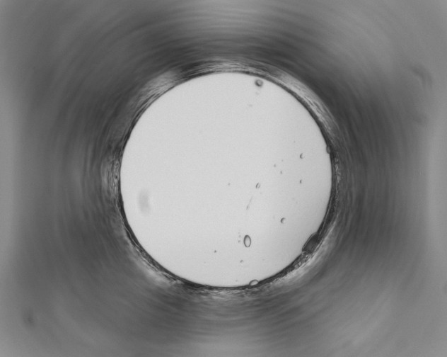 X0000111590857200908271008