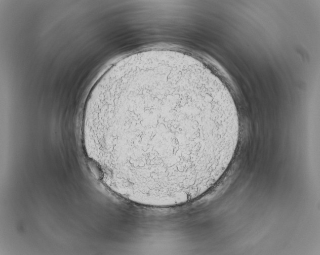 X0000111590860200908271008