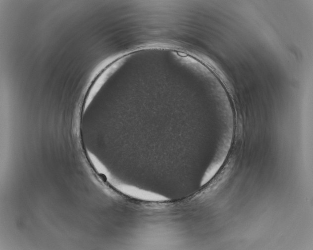 X0000111590862200908271008