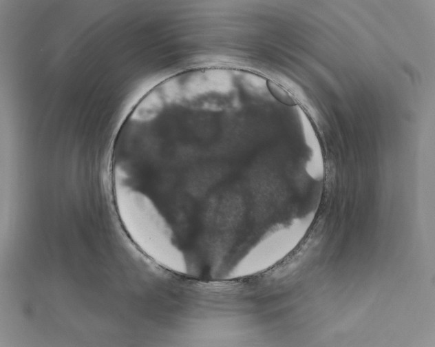 X0000111590863200908271008