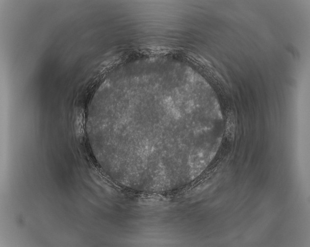 X0000111590866200908271007