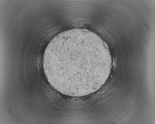 X0000111590867200908271007
