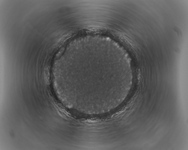 X0000111590868200908271007