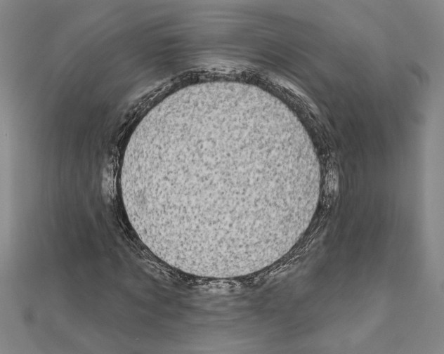 X0000111590869200908271007