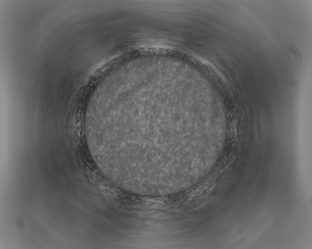 X0000111590870200908271007