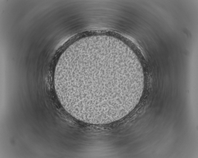 X0000111590871200908271007