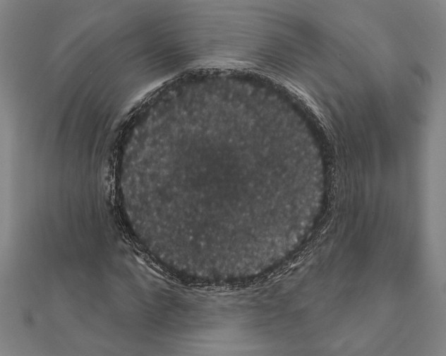 X0000111590872200908271007