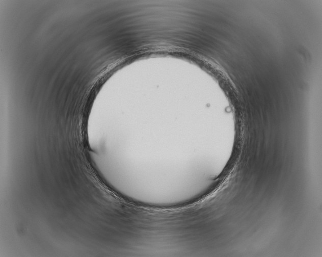 X0000111590873200908271007