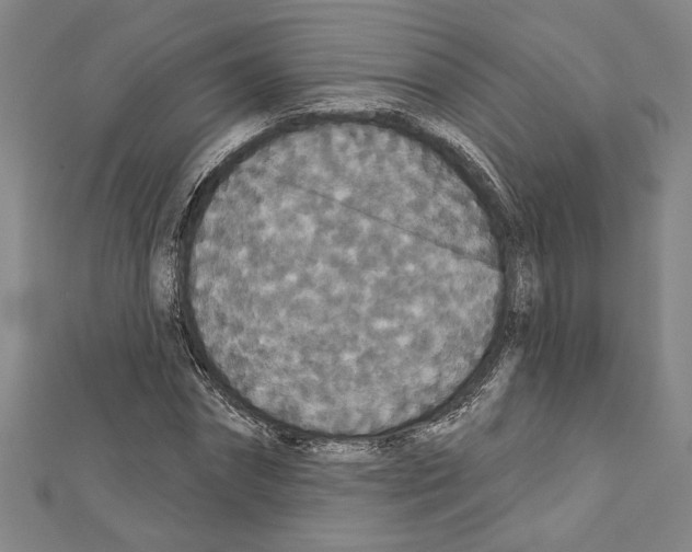 X0000111590874200908271007