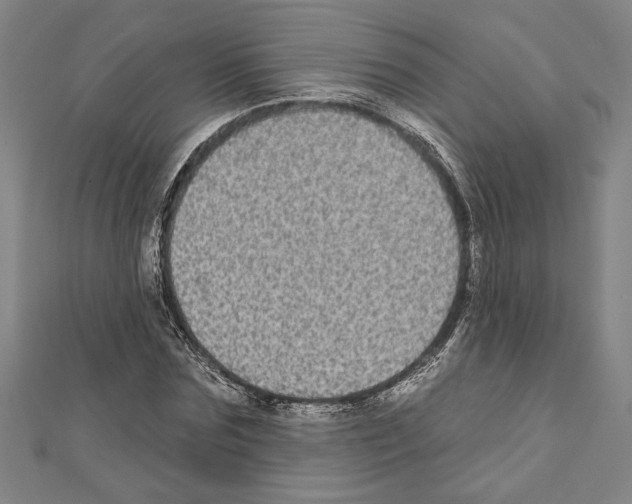 X0000111590875200908271007