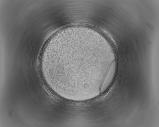 X0000111590876200908271007