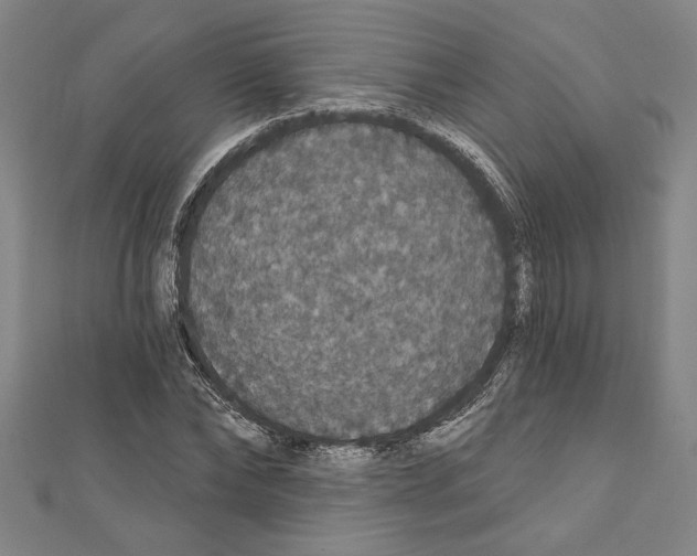 X0000111590878200908271007