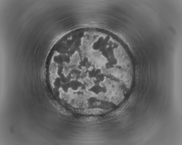 X0000111590879200908271007