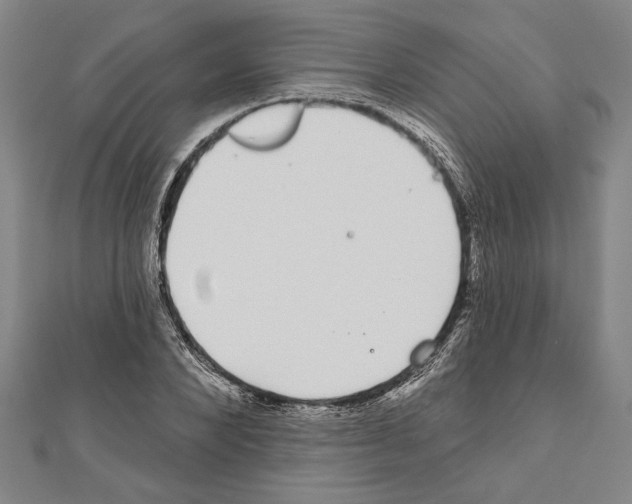 X0000111590880200908271007