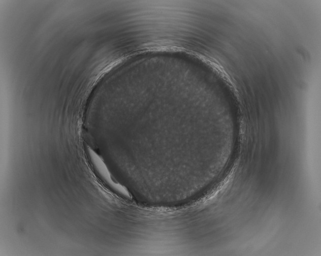 X0000111590881200908271007