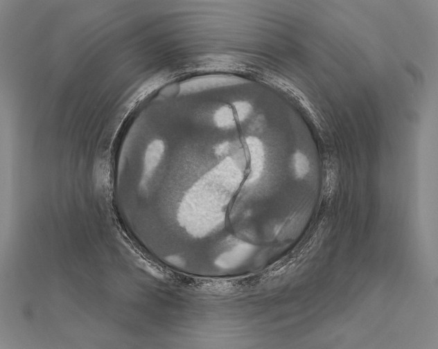 X0000111590882200908271007
