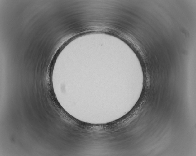 X0000111590883200908271007