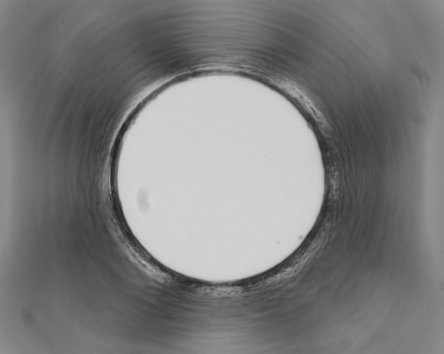 X0000111590884200908271007