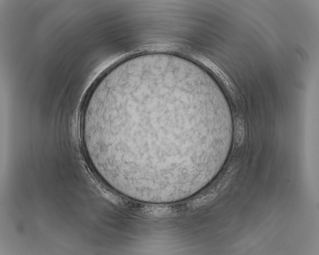 X0000111590886200908271007
