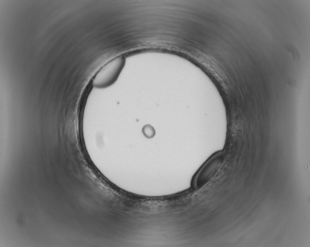 X0000111590888200908271007