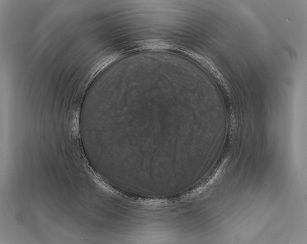 X0000111590889200908271007