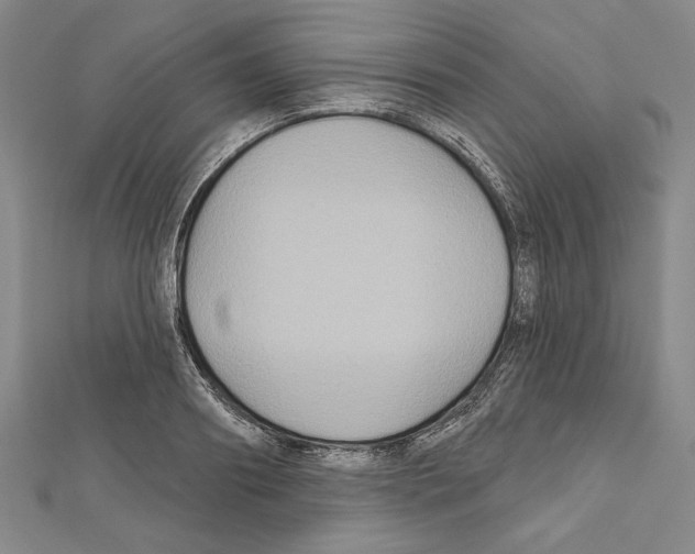 X0000111590890200908271007