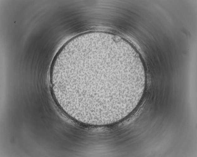 X0000111590891200908271007