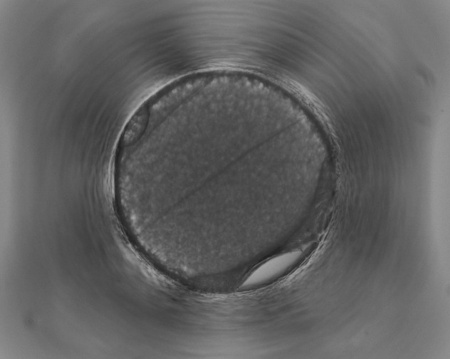 X0000111590892200908271007