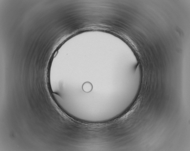 X0000111590893200908271007