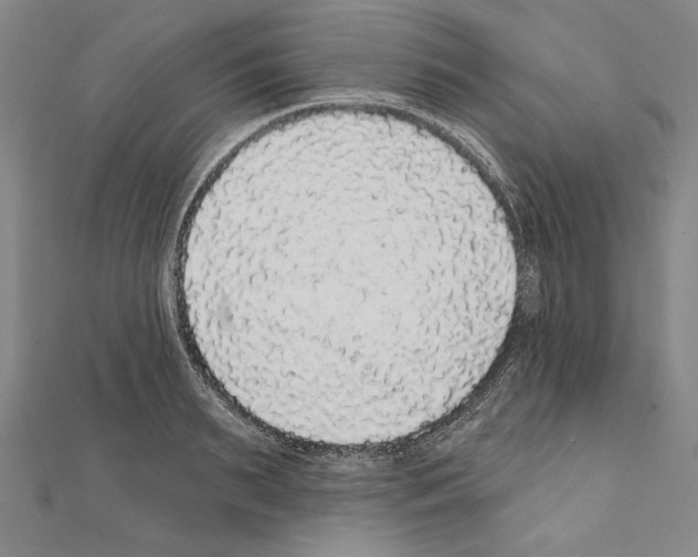 X0000111590895200908271007