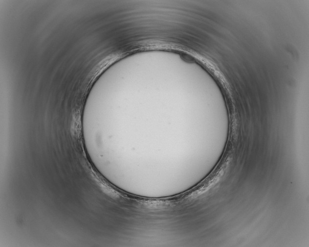 X0000111590897200908271007