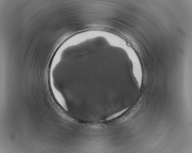 X0000111590899200908271007
