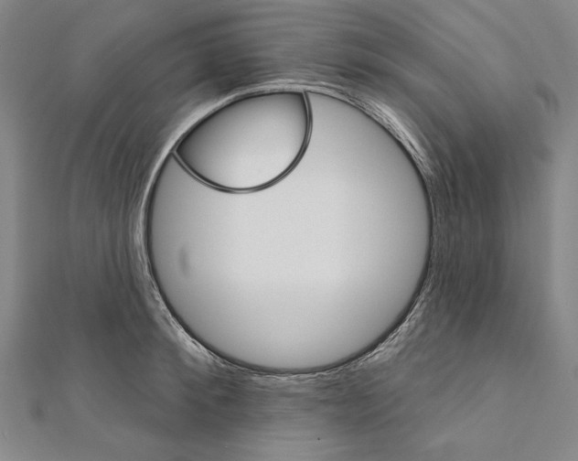 X0000111590900200908271007
