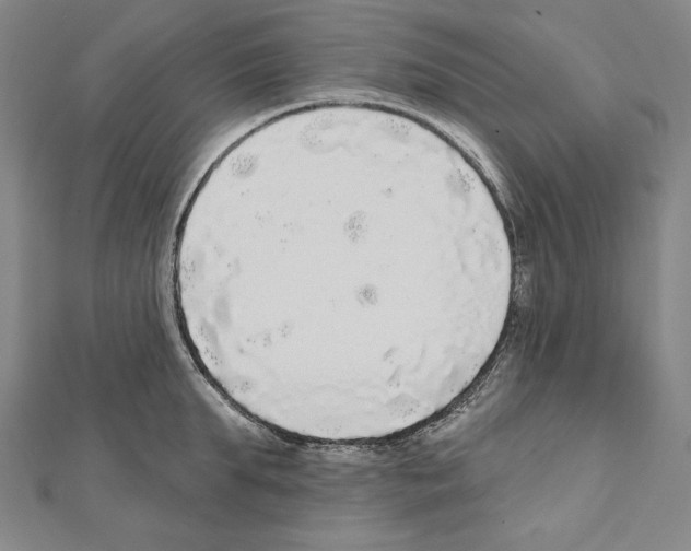X0000111590903200908271007