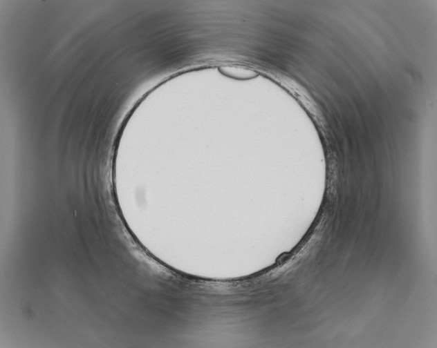 X0000111590904200908271007