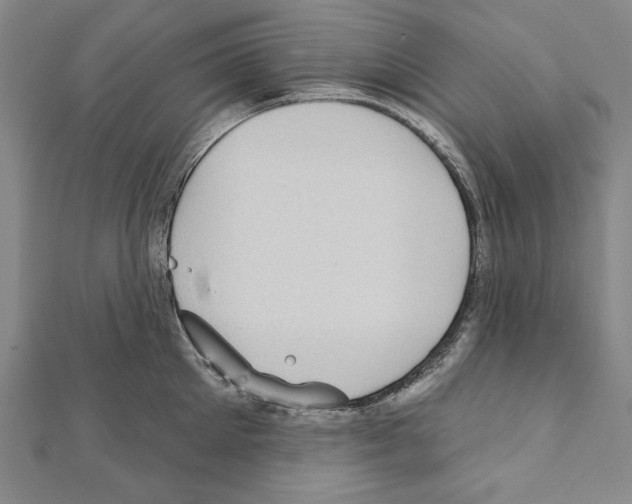 X0000111590905200908271007