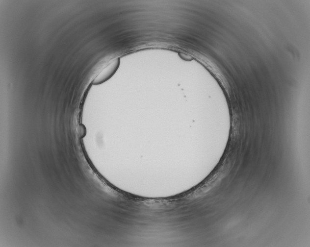 X0000111590906200908271007