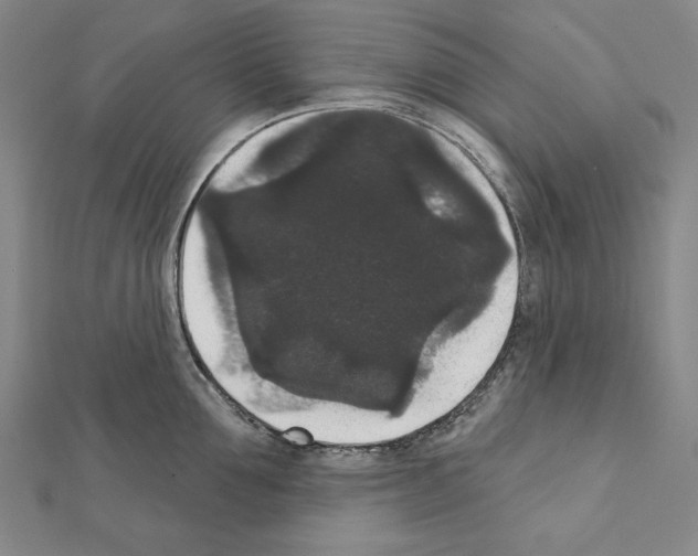 X0000111590907200908271007