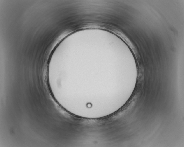X0000111590909200908271006