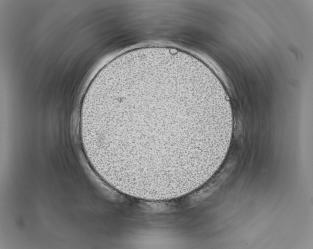X0000111590911200908271006