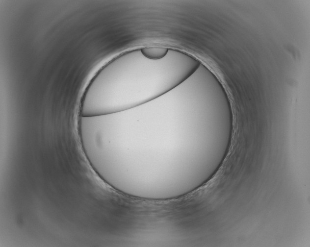 X0000111590912200908271006
