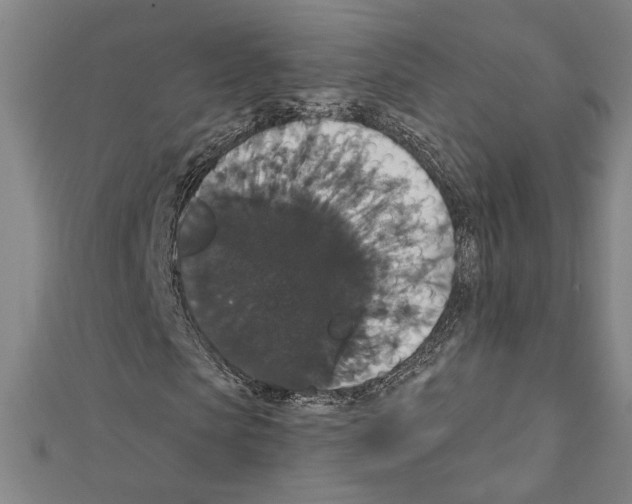 X0000111590913200908271006