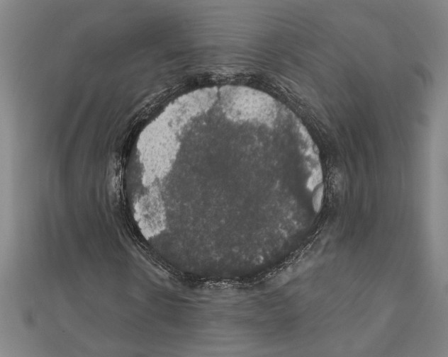 X0000111590914200908271006